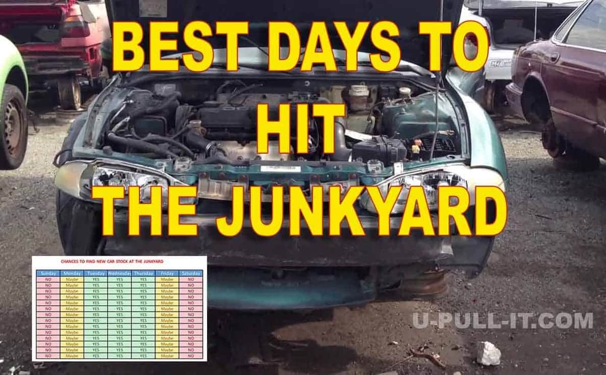 Best days to Hit the Junkyard