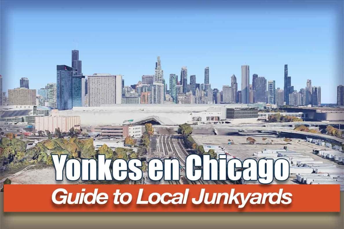 Unveiling the World of Yonkes in Chicago