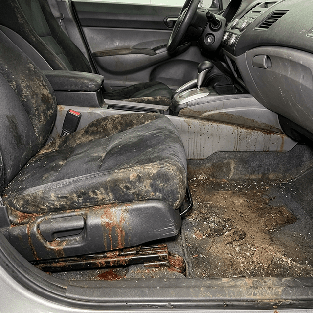 Close-up of white mold spreading on flooded car leather seats