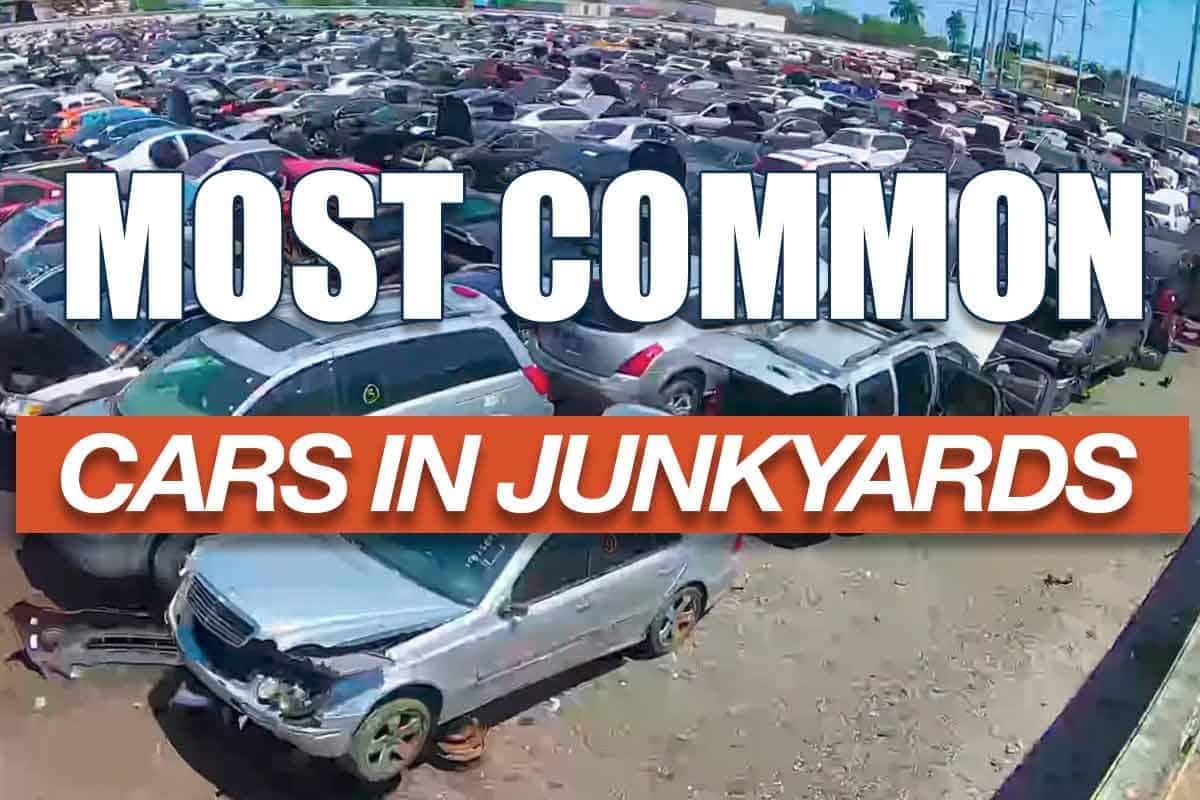 El auto más común en los yonkes / desguaces: Un viaje a través de la jungla de metal