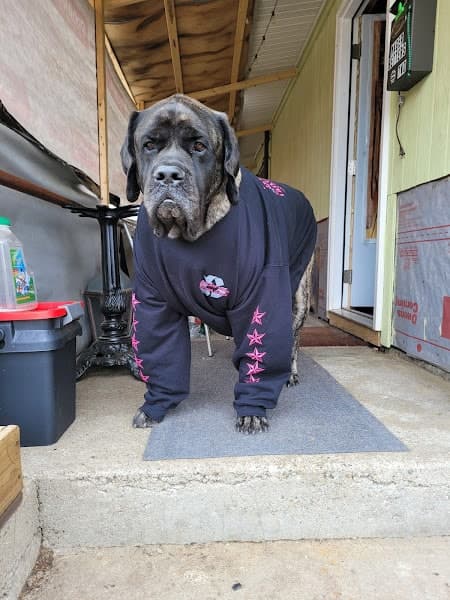 J & S Scrap Metal & Recycling at 36 Starr St, Johnston, RI 02919