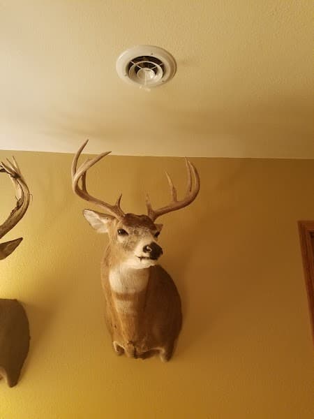 Appell Auto Recycling at 1321 SE 2nd St, Galva, IL 61434