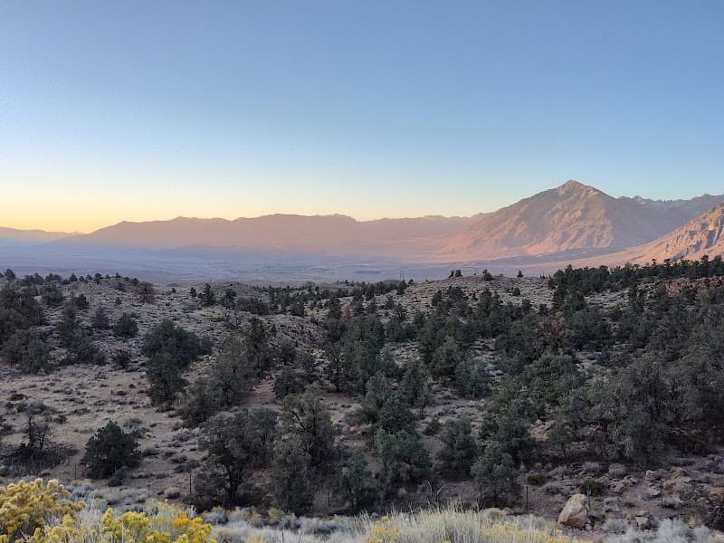 Car Museum at US-395, Cartago, CA 93549