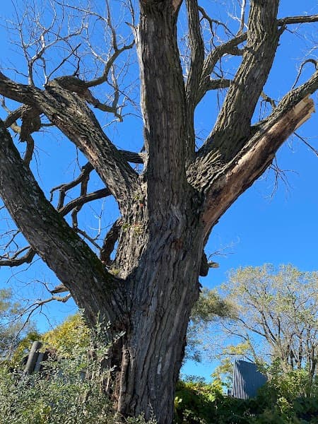 Steve's Used Parts at 2450 Cheyenne St, Kansas City, KS 66106