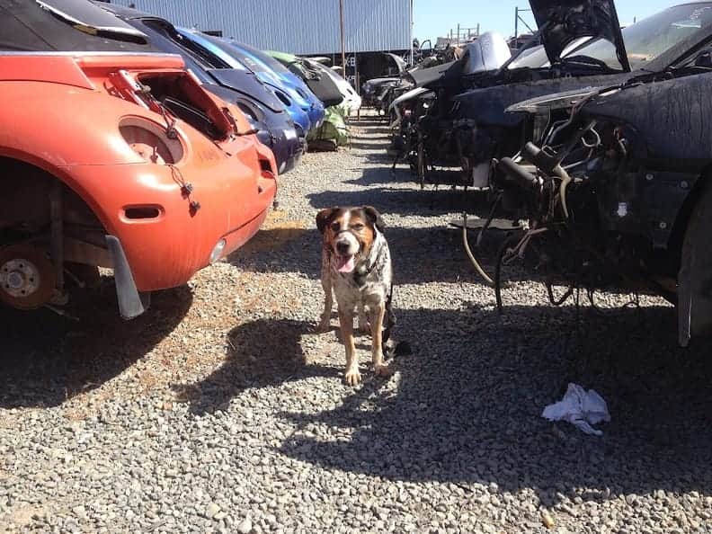 Dave´s Auto Parts Wrecking San Diego — used auto parts in San Diego, CA