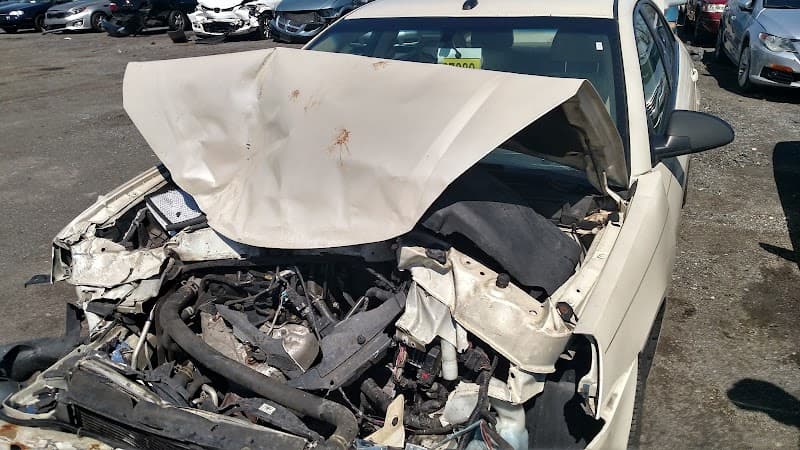 Delaware Auto Salvage at 469 Old Airport Rd, New Castle, DE 19720