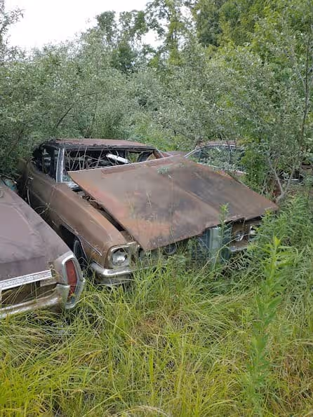 Eaton's auto salvage at Windsor, IL 61957