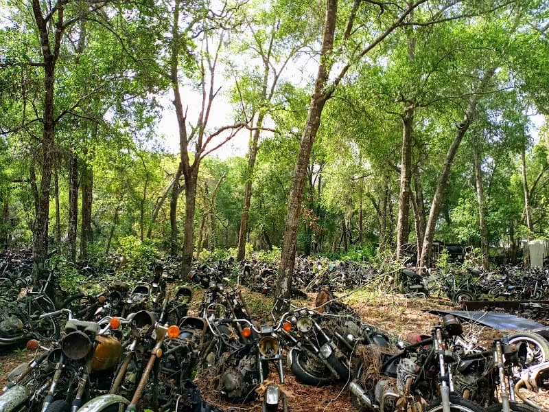 Mauro's New and Used at 5401 S Florida Ave, Inverness, FL 34450