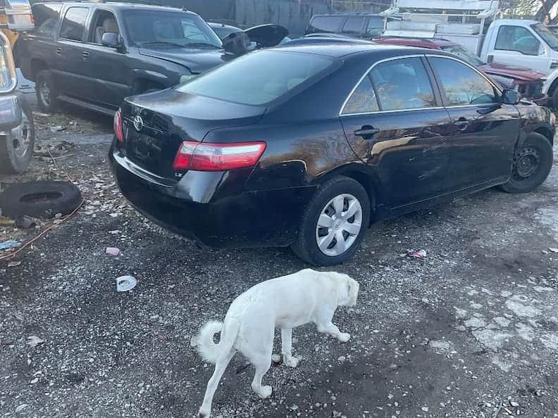 Porter's Auto Salvage at 3231 N Stadium Dr, Kansas City, MO 64128 — used auto parts in Kansas City, MO