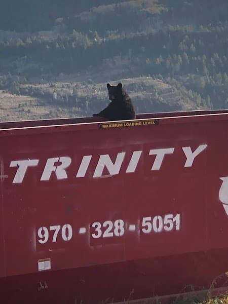 Trinity Recycling LLC at 250 Co Rd 167, Glenwood Springs, CO 81601