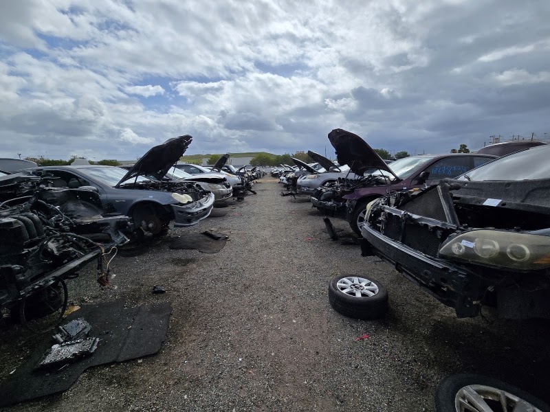 A gravel aisle between rows of cars with their hoods up at U Pull It Davie
