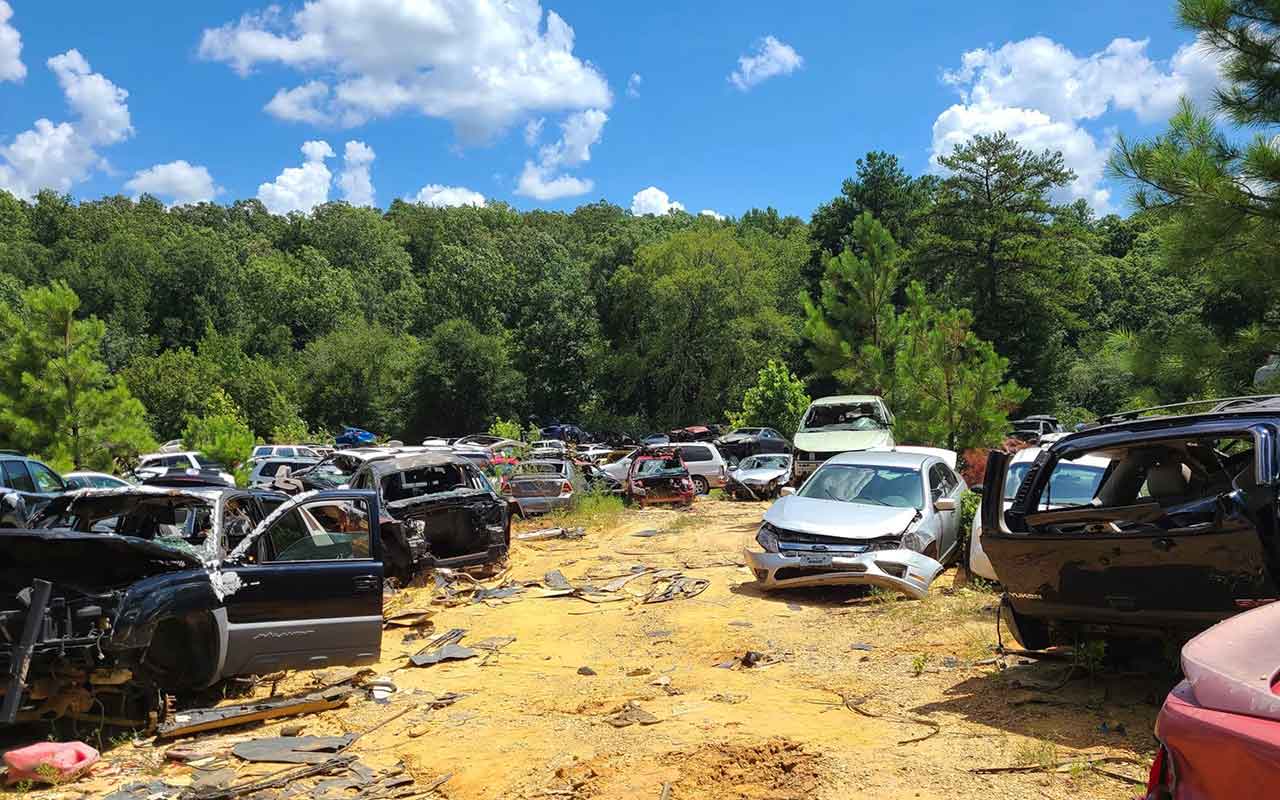 Bama Salvage at 9200 University Blvd E, Cottondale, AL 35453