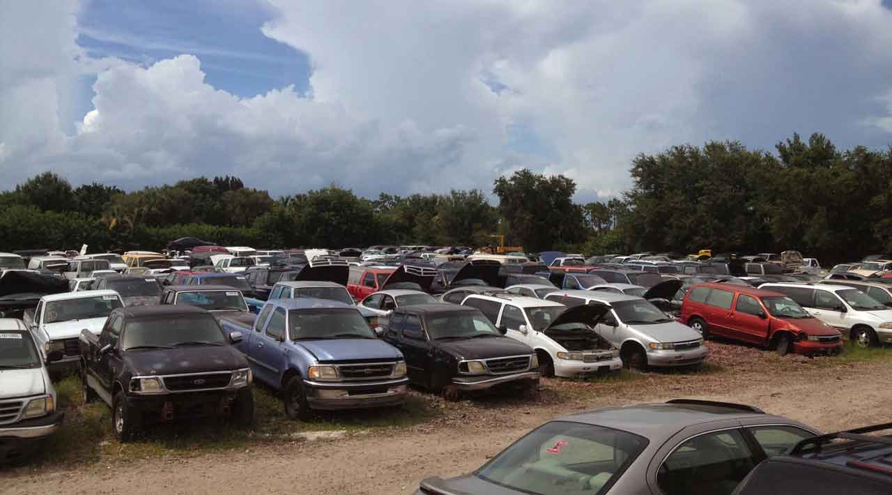 Junk car inventory from MSB Junk Cars & Used Auto Parts at 5029 Dalewood St, Punta Gorda, FL 33982