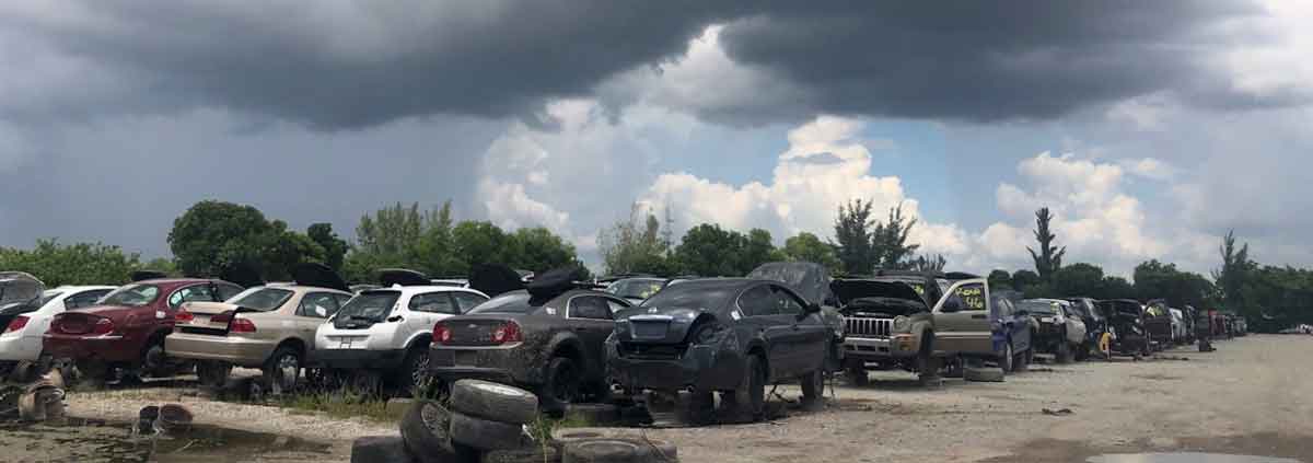 Sácalo Tú Mismo - West Palm en 451 Benoist Farms Rd, West Palm Beach, FL 33411