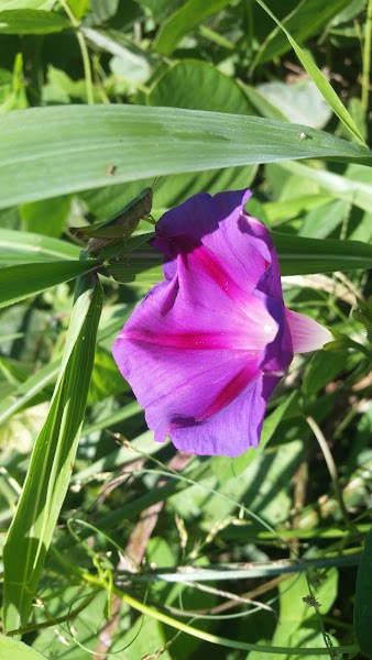Yard photo 9