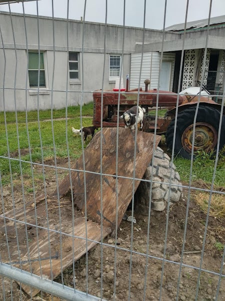 Yard photo 6