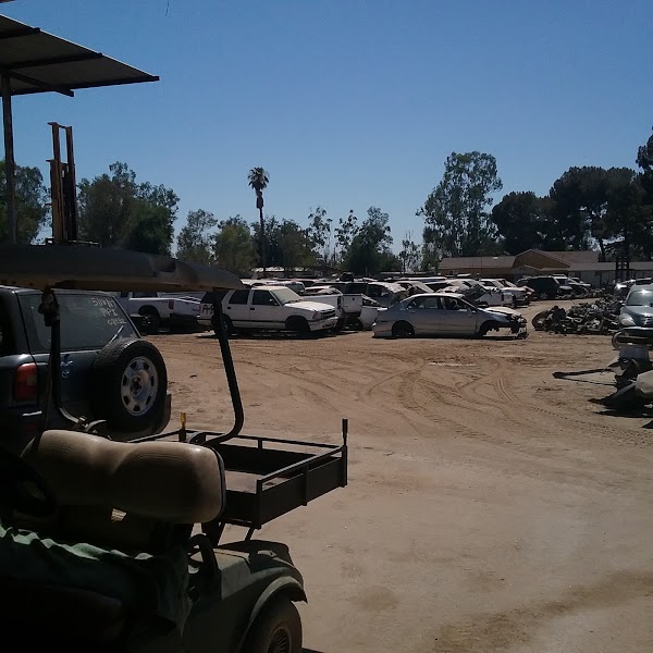 Google Places Photo 3