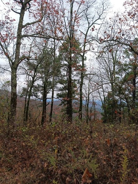 Google Places Photo 3
