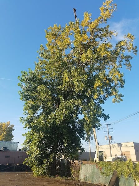 Google Places Photo 2