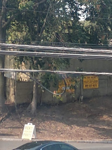 Google Places Photo 3