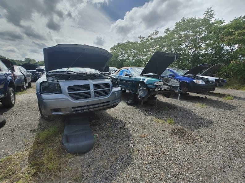 Google Places Photo 2