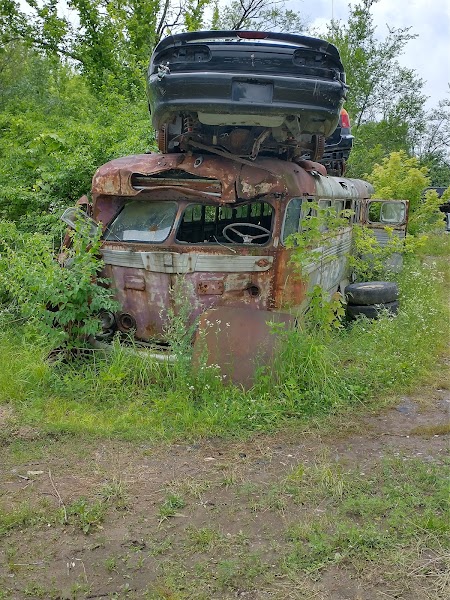 Google Places Photo 3