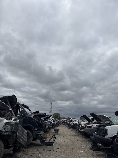 Google Places Photo 3