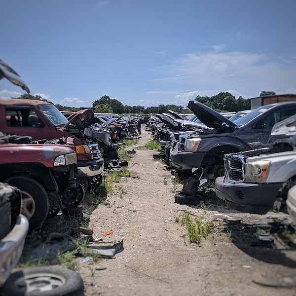 Google Places Photo 2