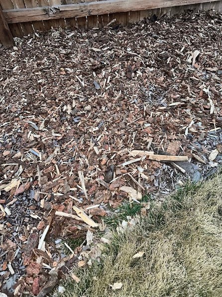 Google Places Photo 2