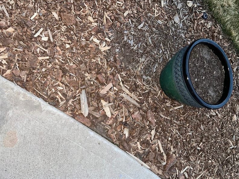 Google Places Photo 3