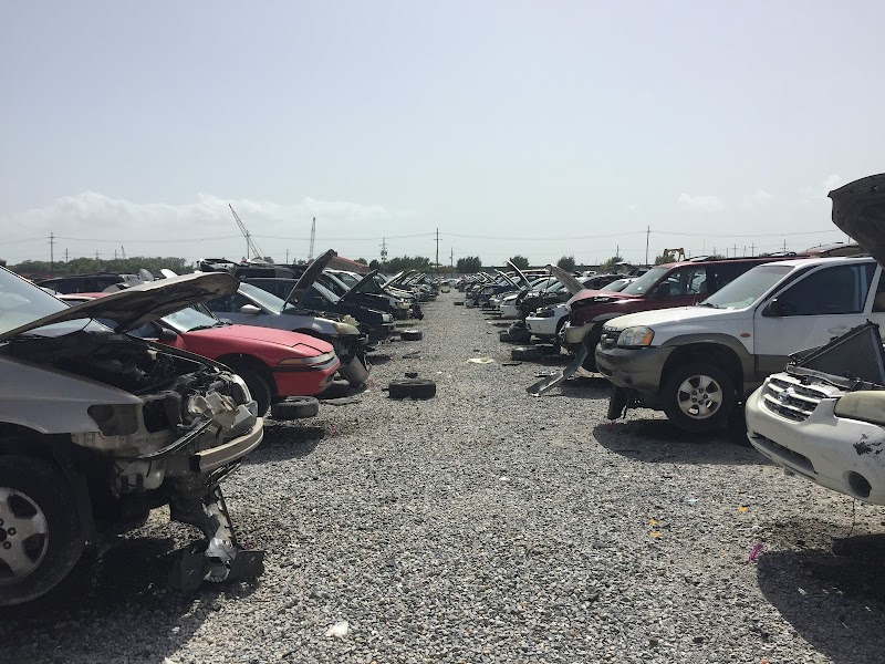 Google Places Photo 2