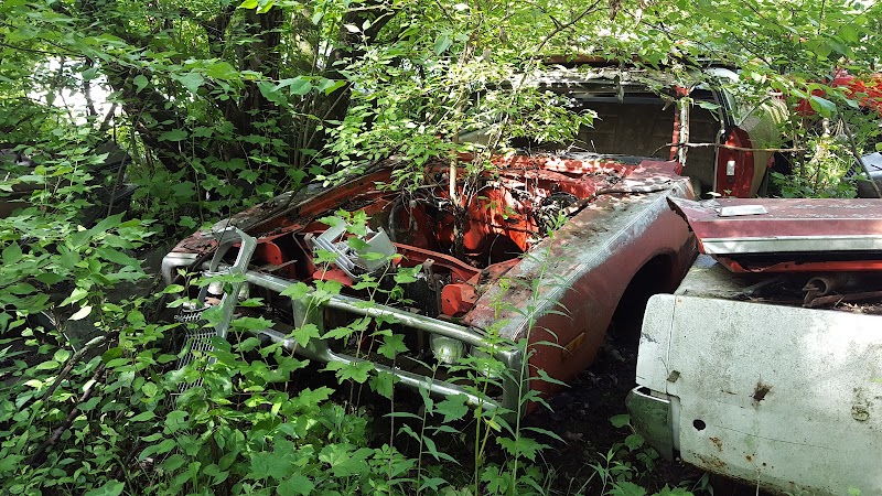 Ron's Auto Salvage at 24613 Butler Center Rd, Allison, IA 50602