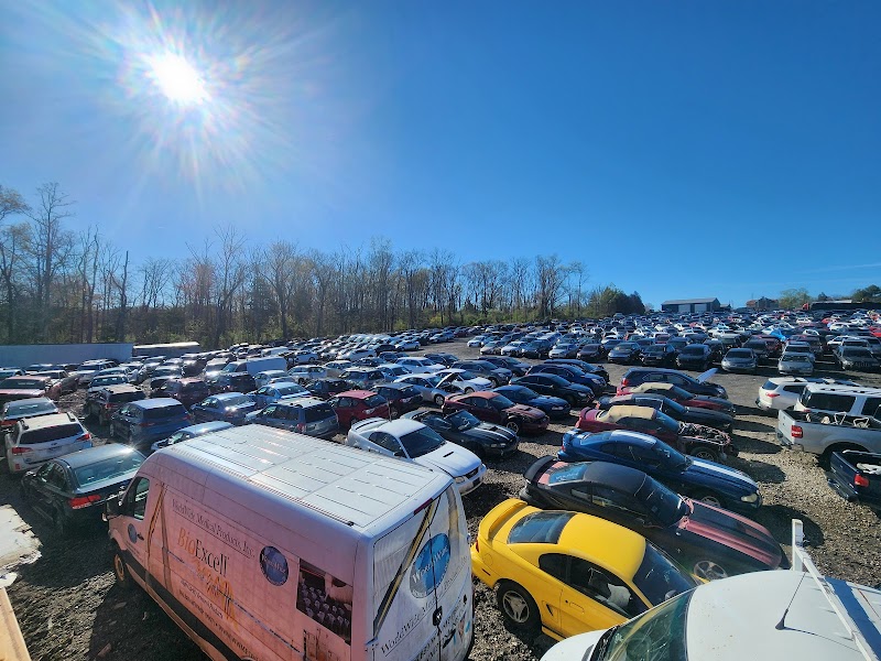 Google Places Photo 2