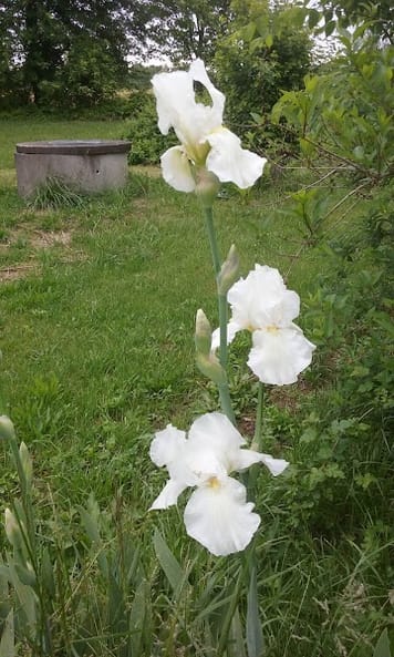 Google Places Photo 3