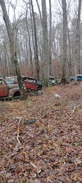 Google Places Photo 3