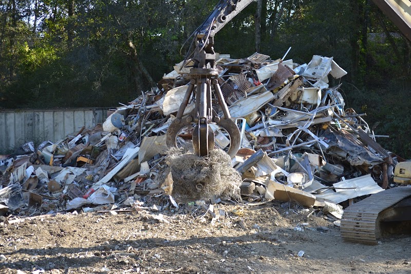 Google Places Photo 3