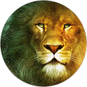 OutDoor Kid of Idaho