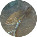 Derrick and Melissa Carmichael