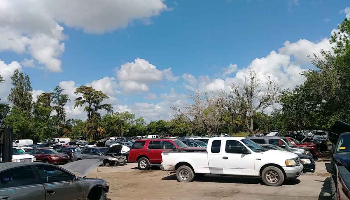 Junk cars at ACE Pick A Part Used Auto Parts at 3215 N 43rd St, Tampa, FL 33605