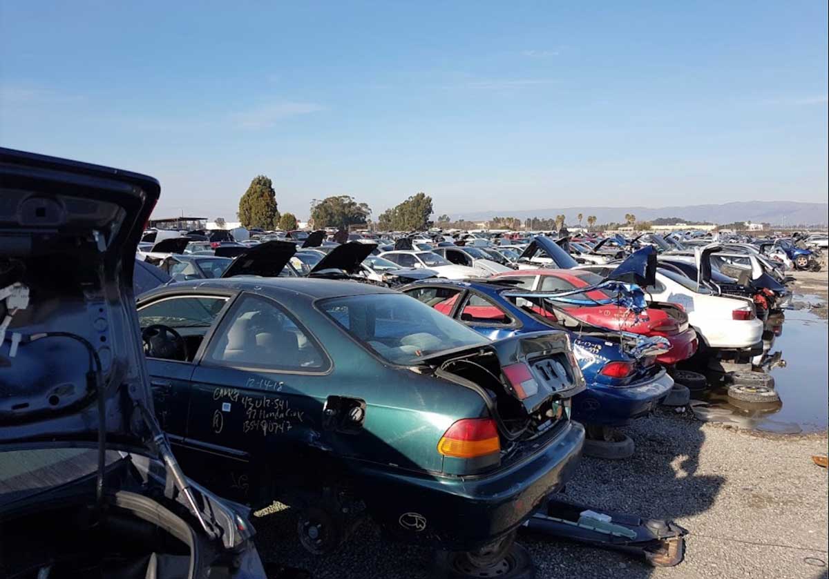 Vehicle types at Pick-n-Pull at 7400 Mowry Ave, Newark, CA 94560