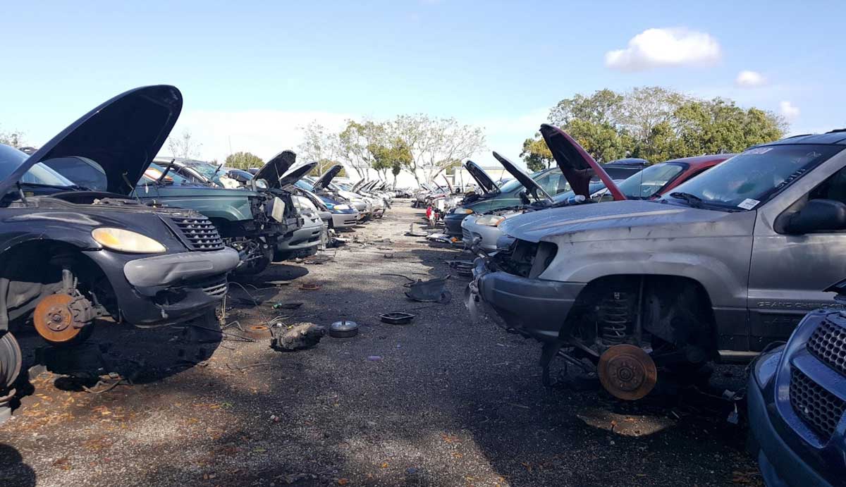 Junk cars in Budget U Pull it at 881 9th St, Winter Garden, FL 34787