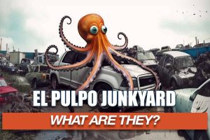 Is El Pulpo Junkyard the same as LKQ Pick Your Part?