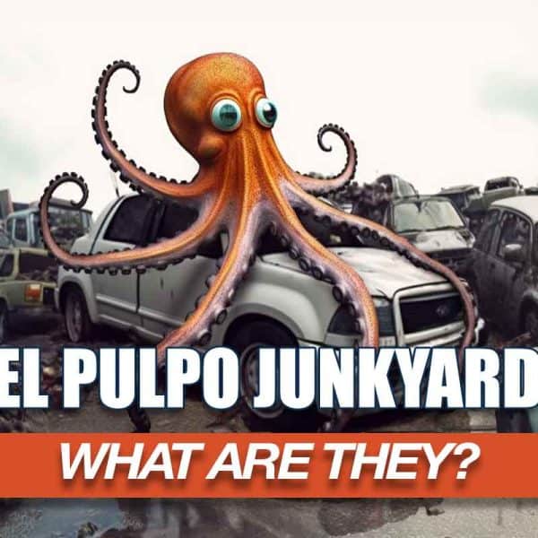 WHAT IS EL PULPO JUNKYARD