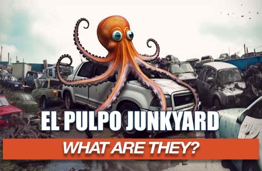 WHAT IS EL PULPO JUNKYARD