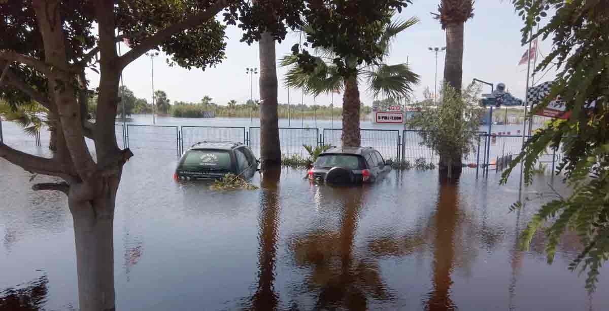 Salvage title flooded cars