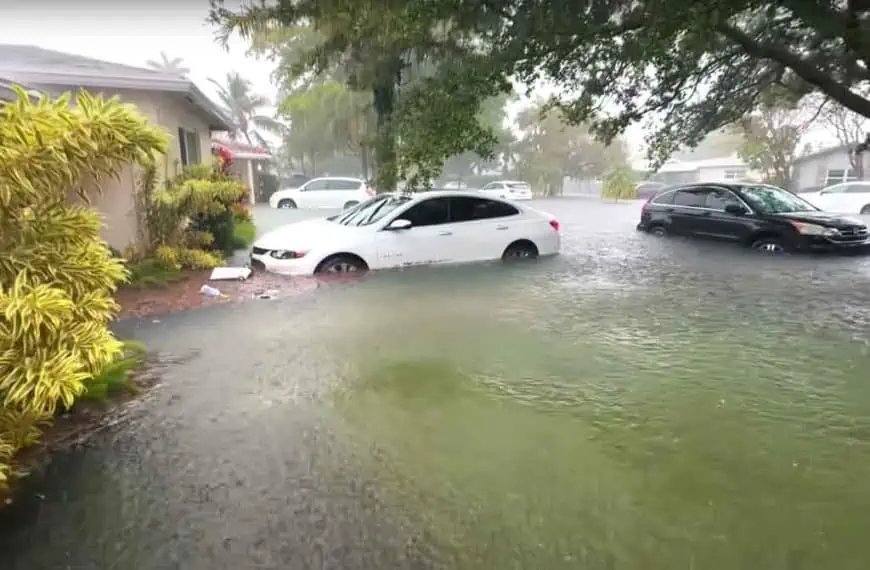 Flooded cars in hurricanes