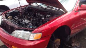Used Car Fender for Sale: Save on Repairs