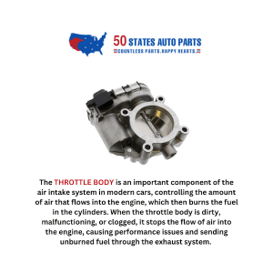50 States Auto Parts at 4918 Cresthill Dr Tampa FL 33615 1 1 300x300