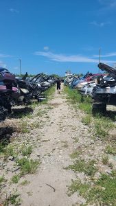 A A Auto Salvage at 3685 US 1 Fort Pierce FL 34946 1 1 169x300