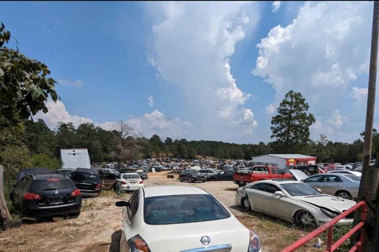 Alabama Truck Auto Parts at 473 AL 165 Fort Mitchell AL 36856 1 768x512